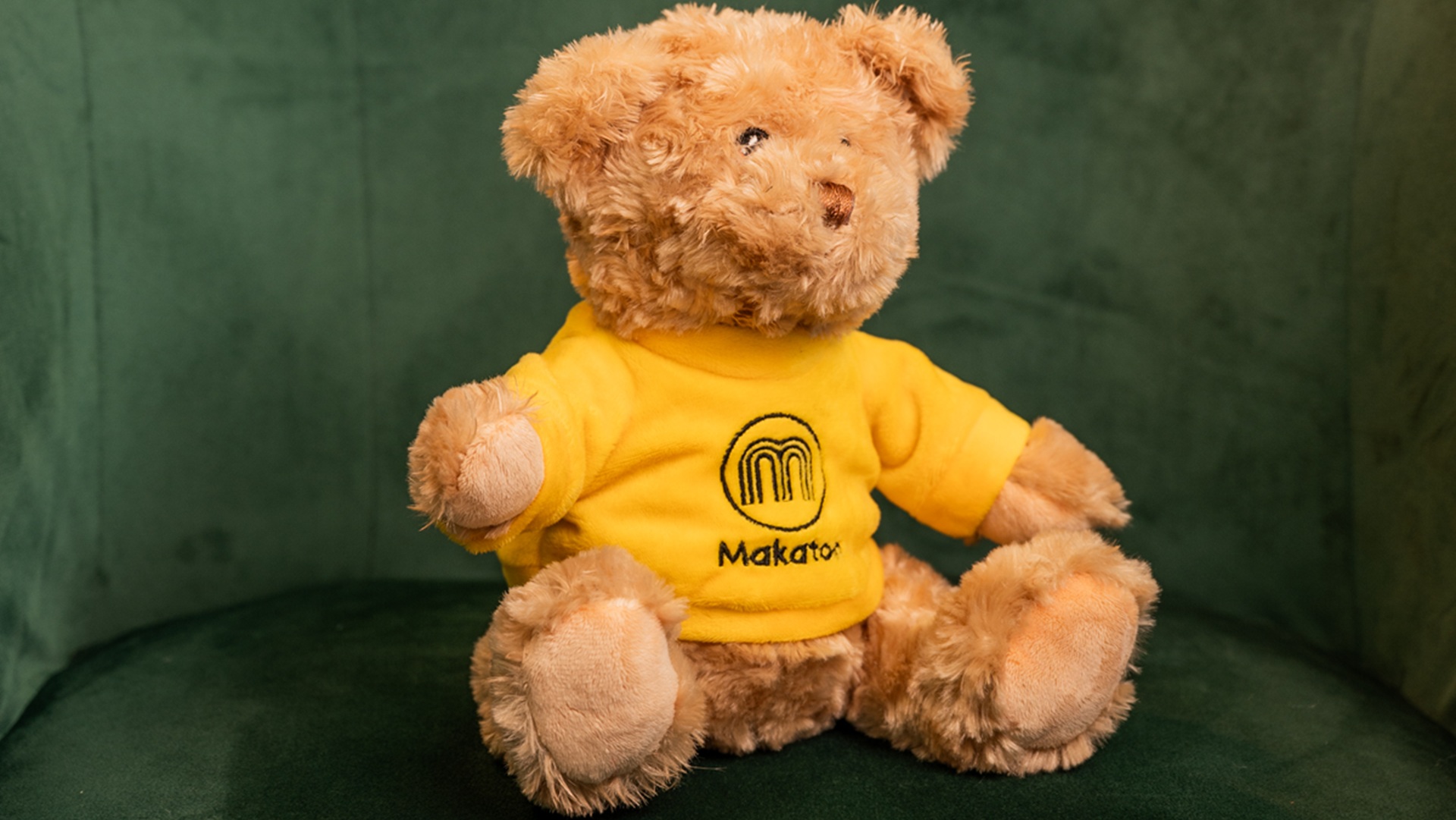 latest-information-mak-the-bear-1920x1080.jpg