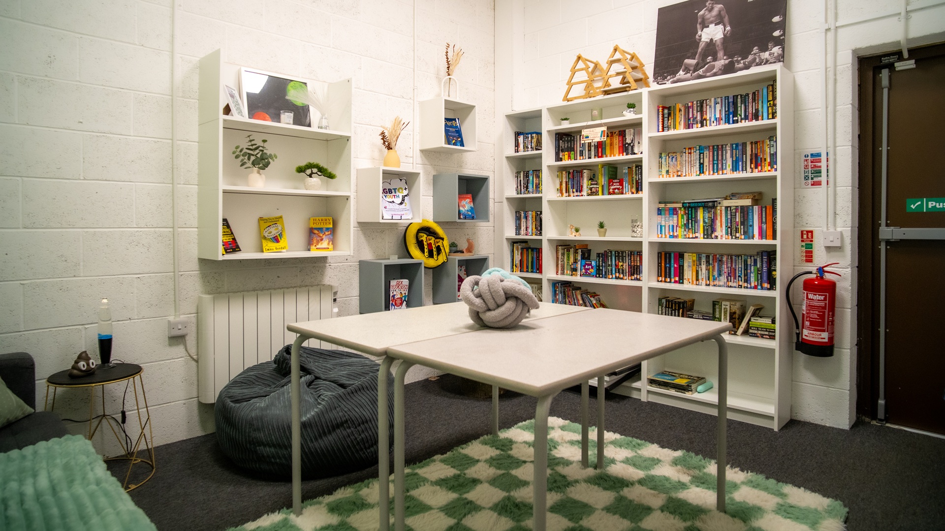 Shelves of books and interesting display items